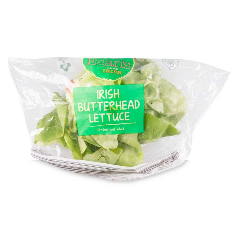 EGAN'S Irish Butterhead Lettuce 1 Each