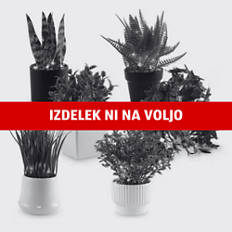 Rastlina z LED-osvetlitvijo