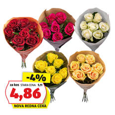 Vrtnice premium