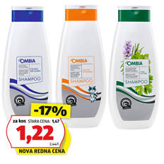 Šampon