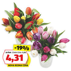 Pisan šopek tulipanov