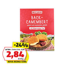 Paniran sir Camembert