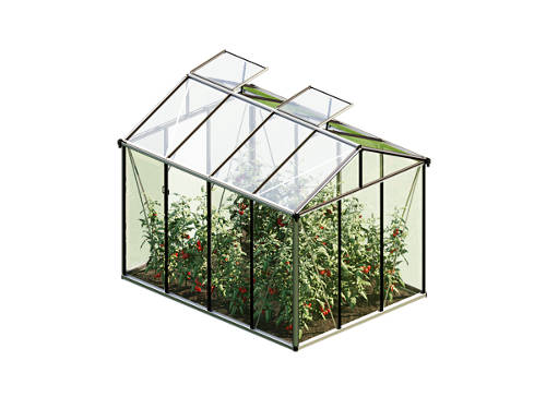 Rückansicht 2, Gewächshaus Prestige Alu Natur
