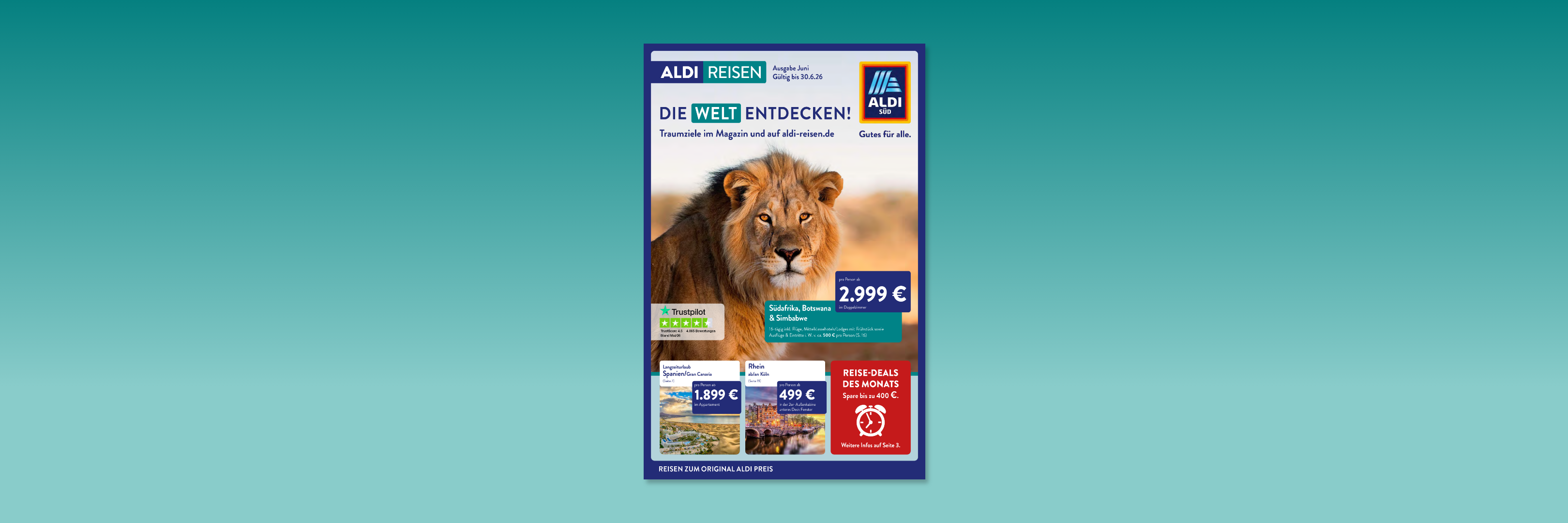 Aldi Reisen Löwe in der Wildnis