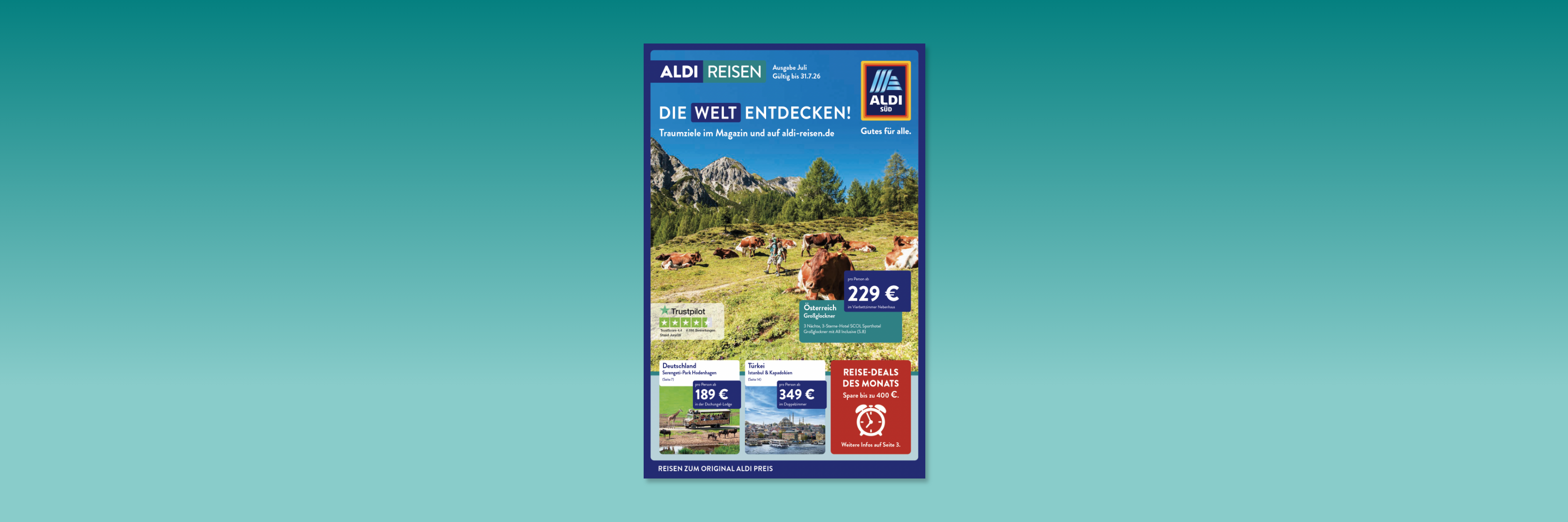 Aldi Reisen Bergwiese mit Kühen