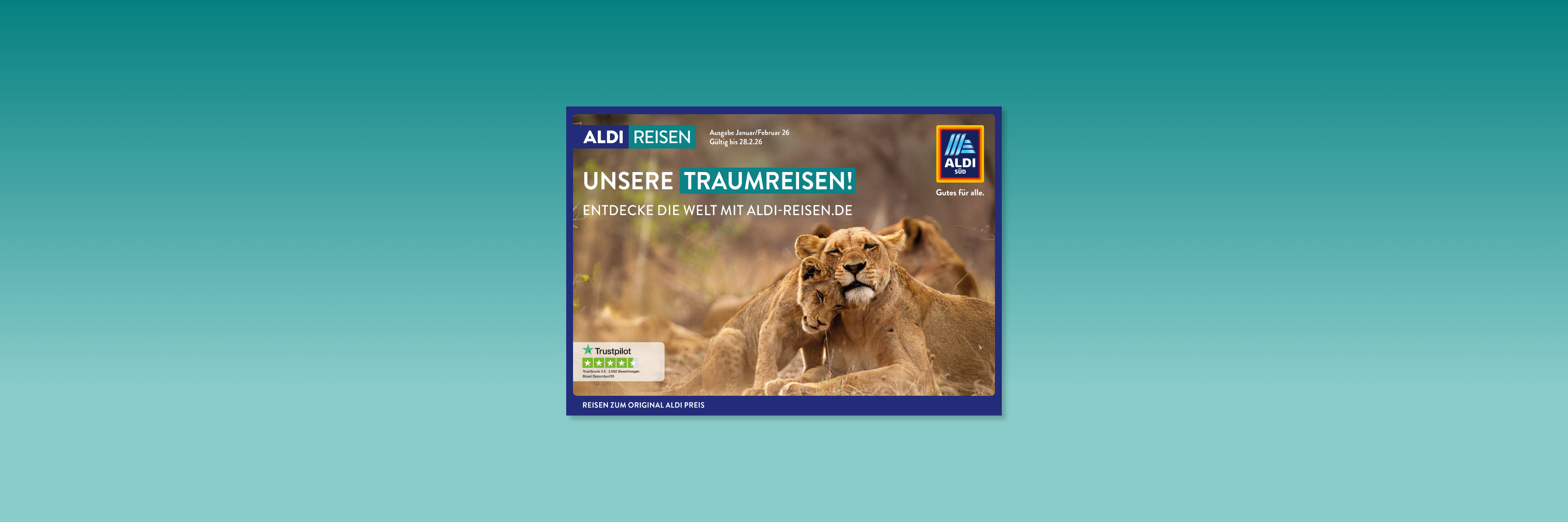 ALDI-Reisen-Poster mit Löwen