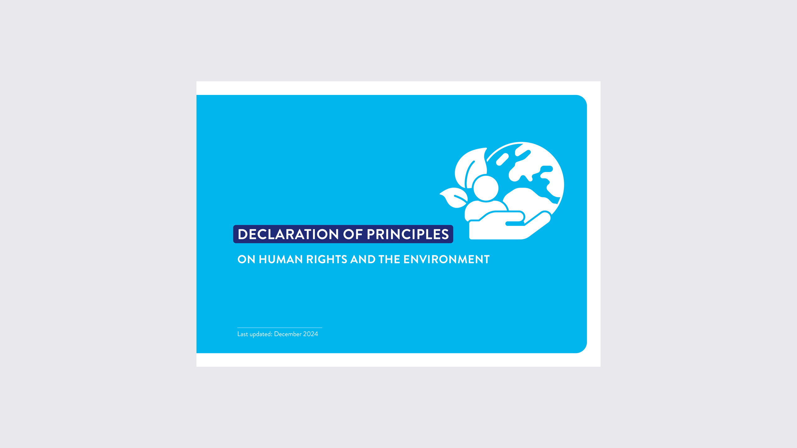 Cover Declaration of principles on human rights and the environment.