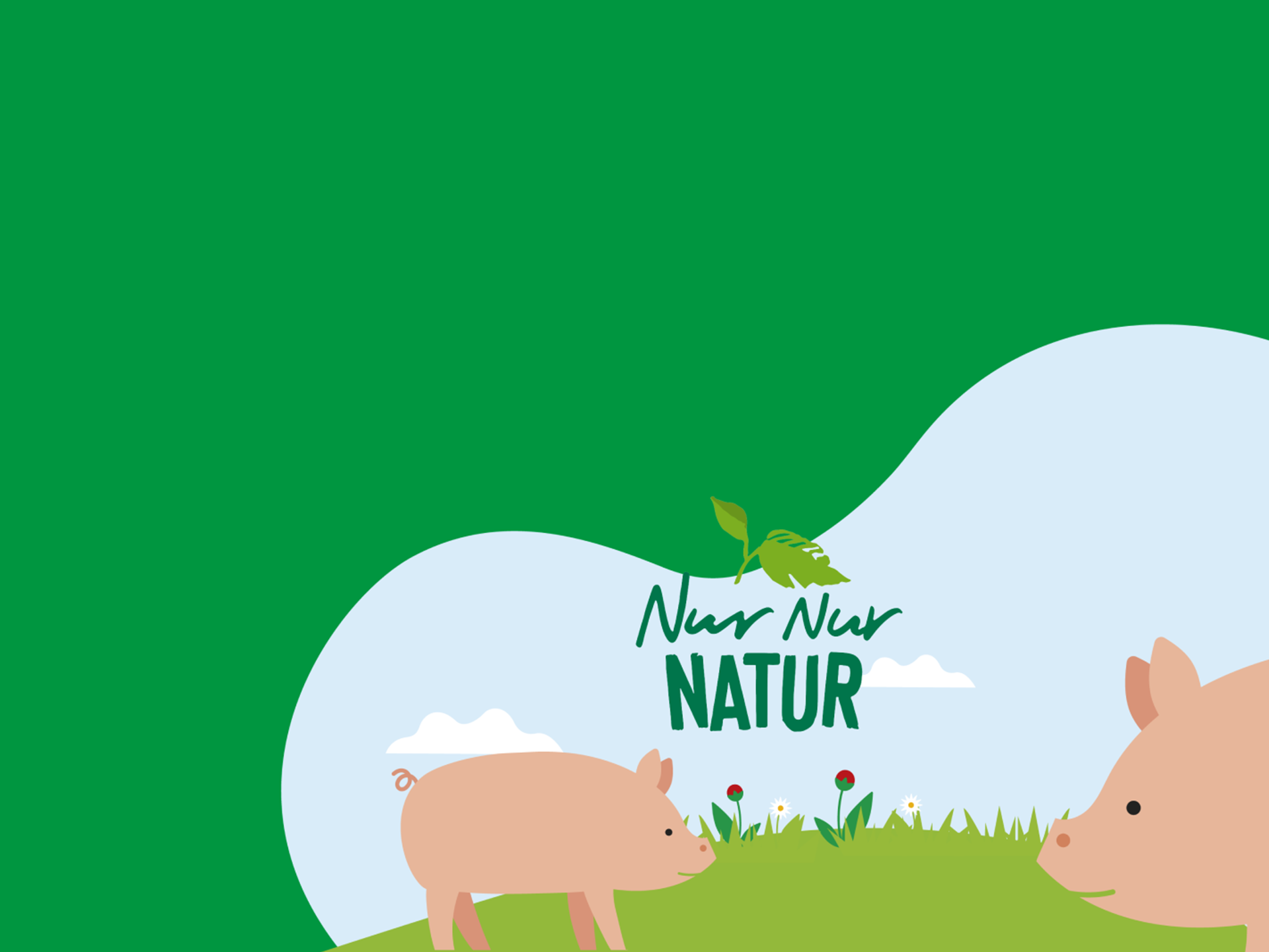 Illustration von 2 Schweinen auf einer Wiese und über ihnen ist das Nur Nur Natur Logo abgebildet.